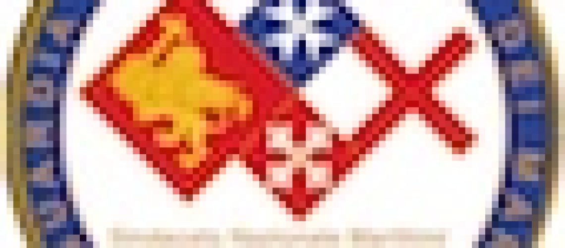Logo tondo SNM
